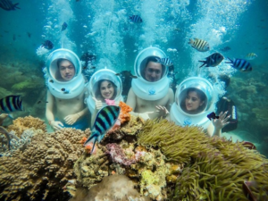 302443627 594647609067597 7825121549819091080 n