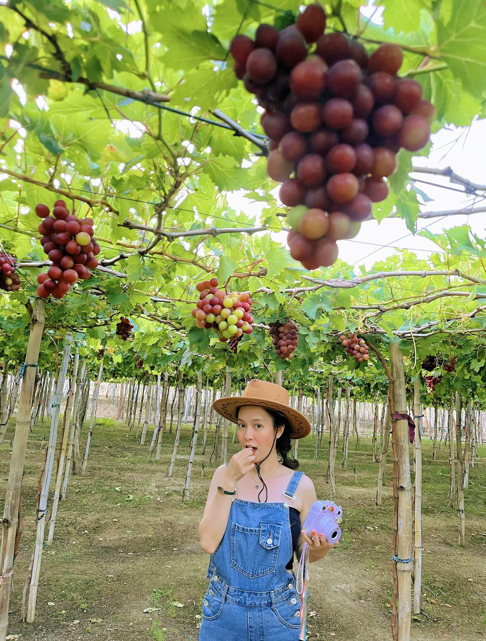 277256372 3062209213991080 6086171711622609546 n