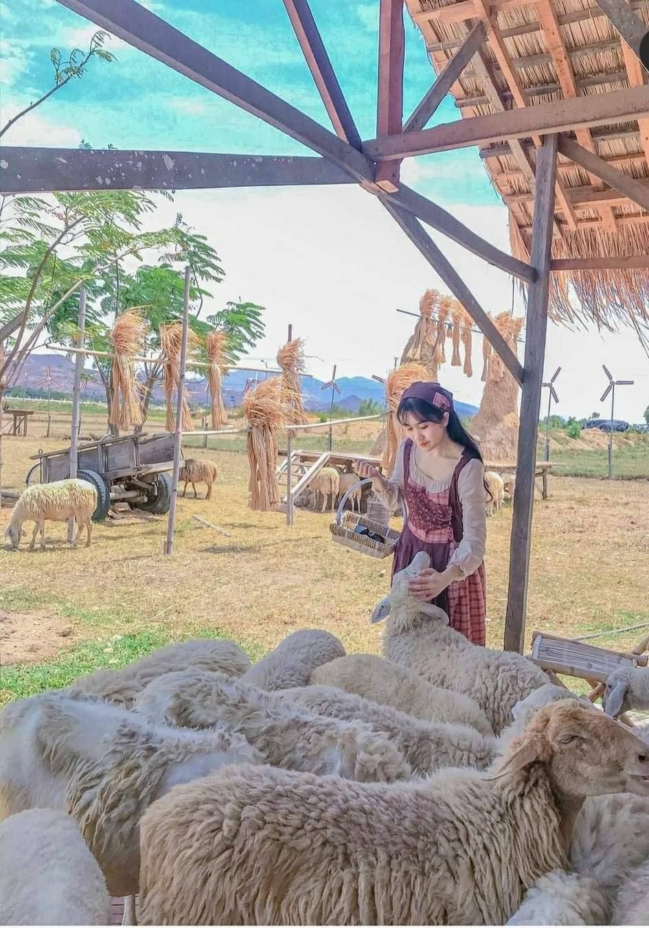 320586975 735608190806682 2476451280049227024 n